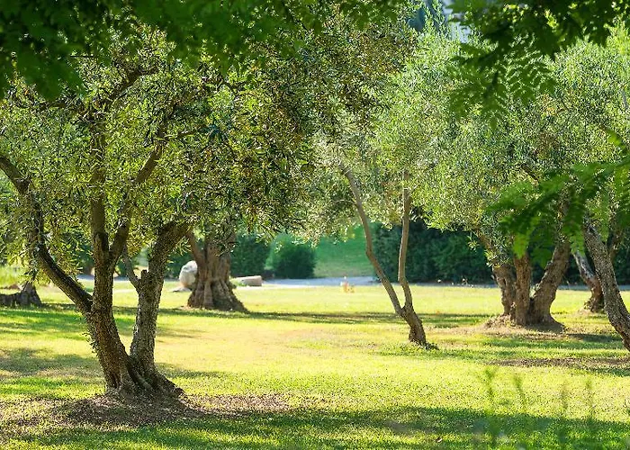 Ghotels Athos Palace Θέρετρο 4*