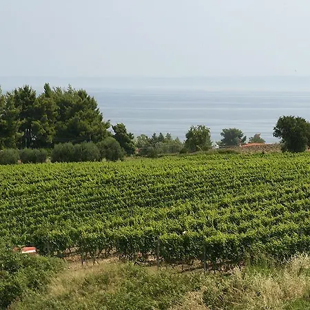 Ghotels Athos Palace 4*