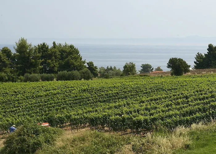 Ghotels Athos Palace 4*